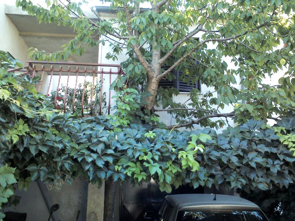 Apartment Artusi Πούλα Δωμάτιο φωτογραφία