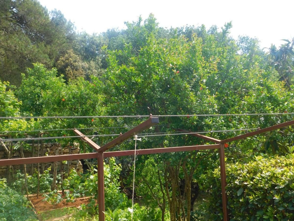 Apartment Artusi Πούλα Εξωτερικό φωτογραφία